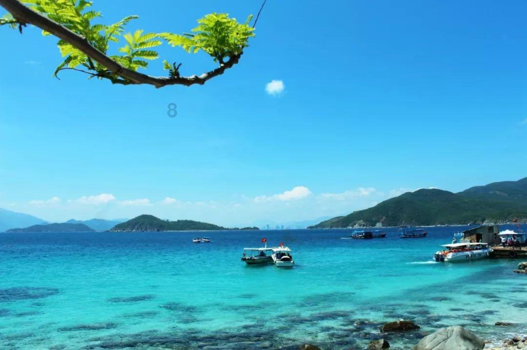 虫虫助手下载